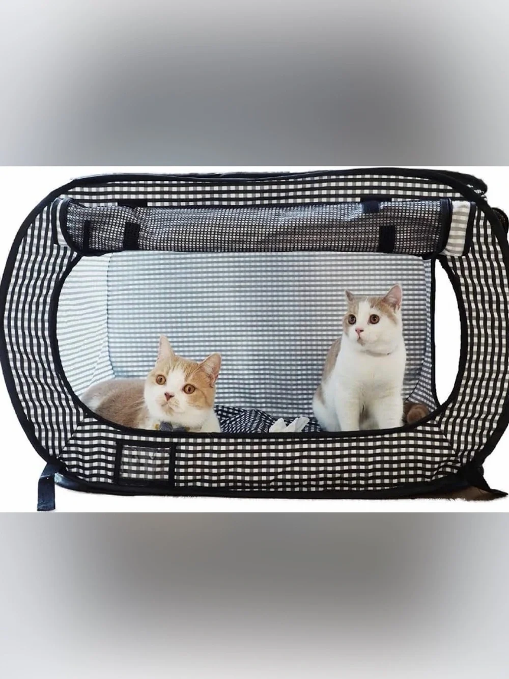 PET | pop up travel crate with collapsible litter box